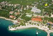 Omorika_pav11.jpg