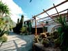 ischia_hotel-mediterraneo-3.jpg